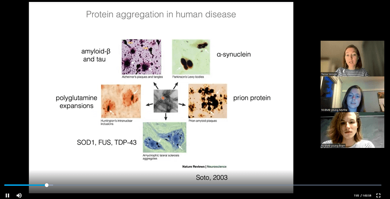 Screengrab of online talk by Dr Tessa Sinnige, from Utrecht University, organized by Young NVBMB (the Junior Section of the Dutch Society, NVBMB).