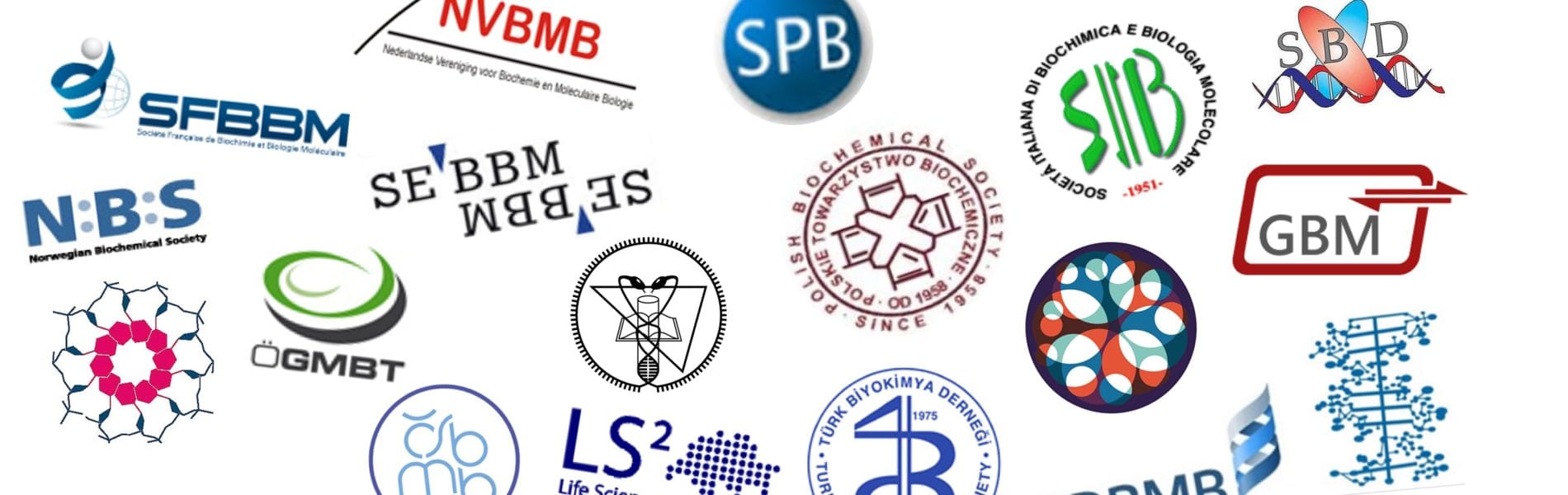 FEBS Society logo melange FEBS Society logo melange