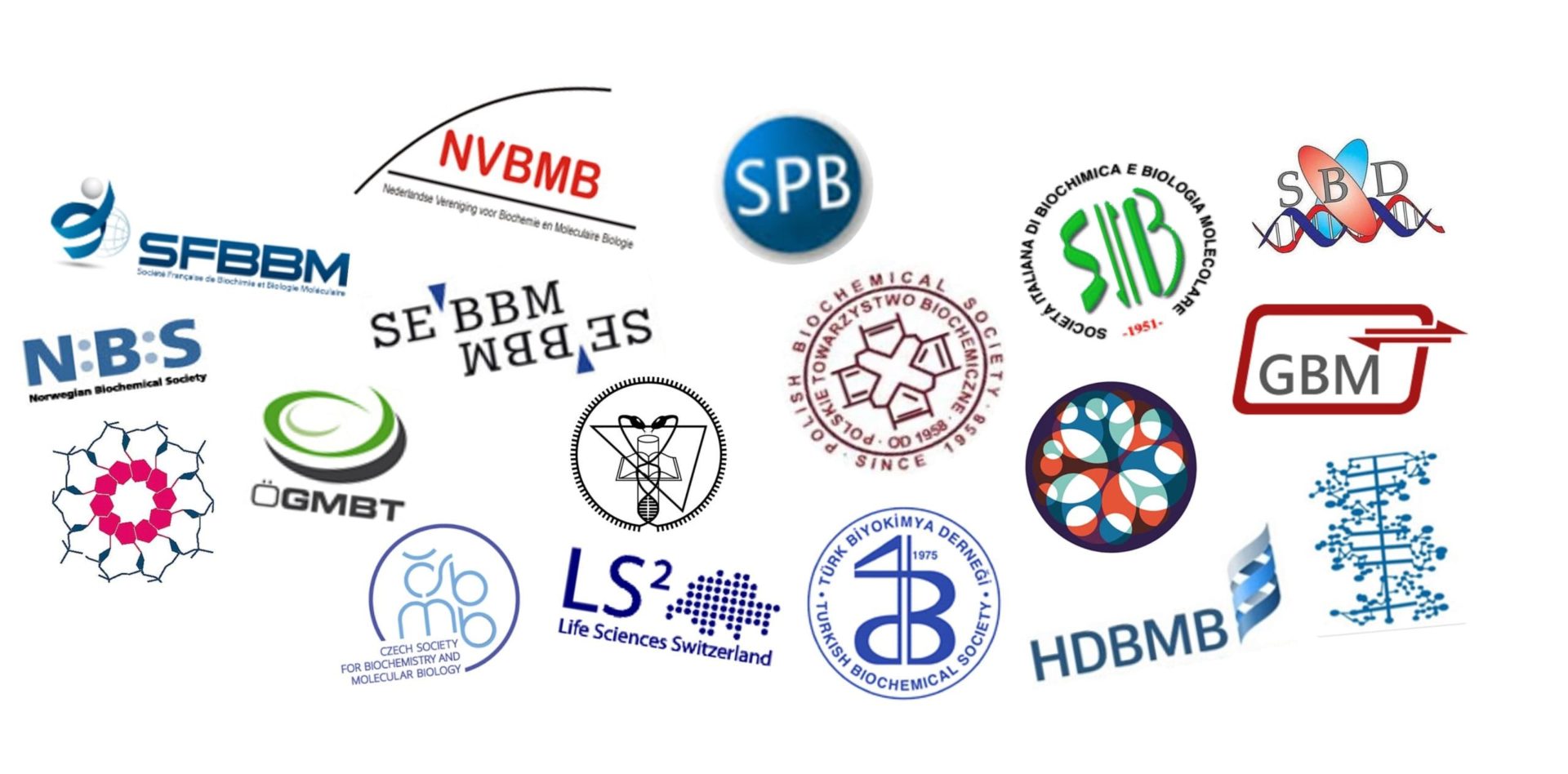 FEBS Society logo melange FEBS Society logo melange