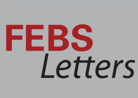 Logo of FEBS Letters journal