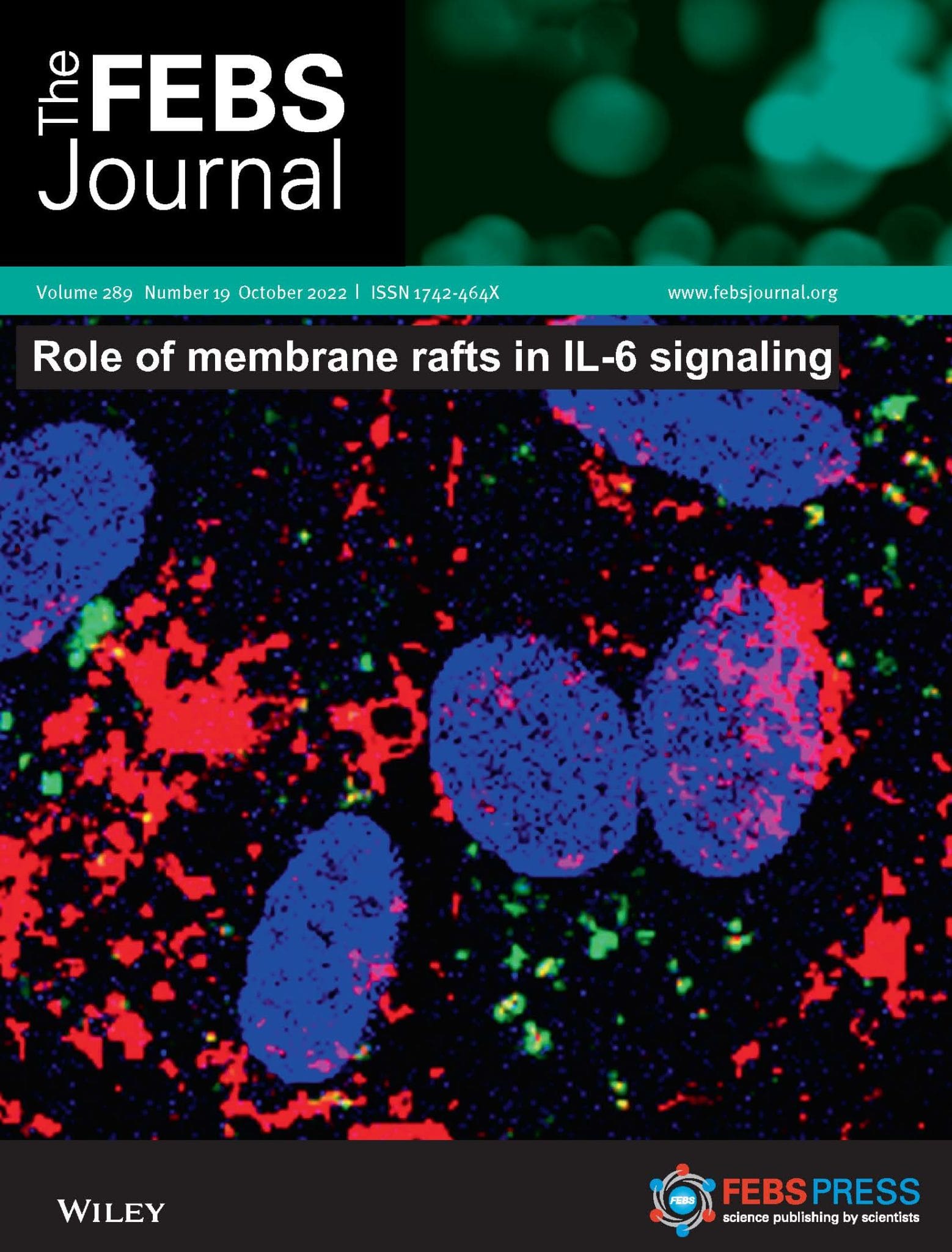 febs journal scimago