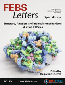 Cover of the FEBS Letters Special Issue March 2023