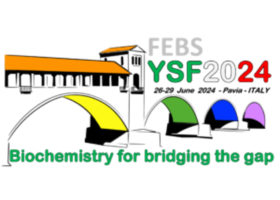 YSF2024 logo