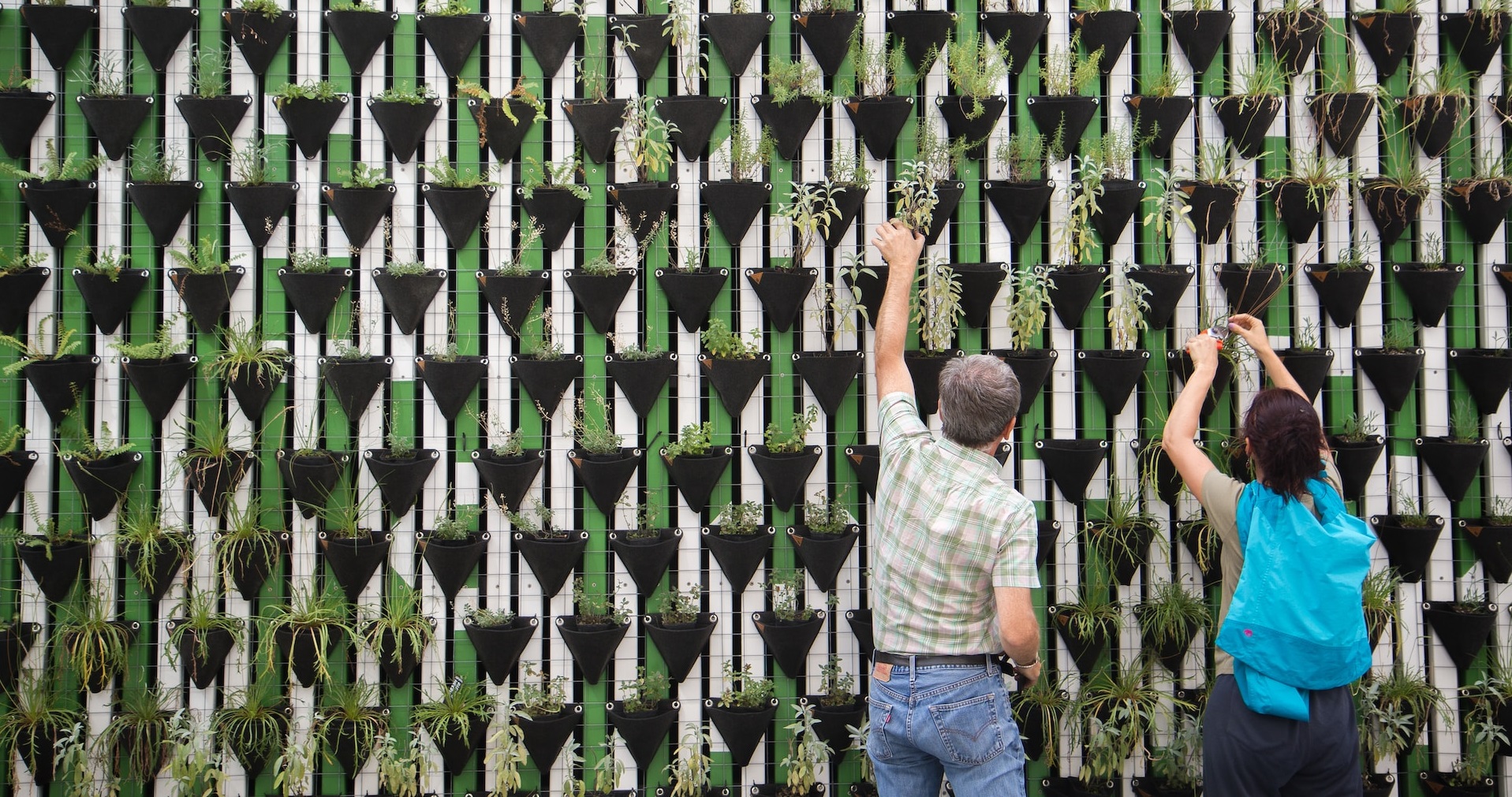 Two people with their backs to the camera are adding plants to a wall garden.