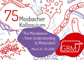 Small image promoting the 75th Mosbacher Kolloquium
