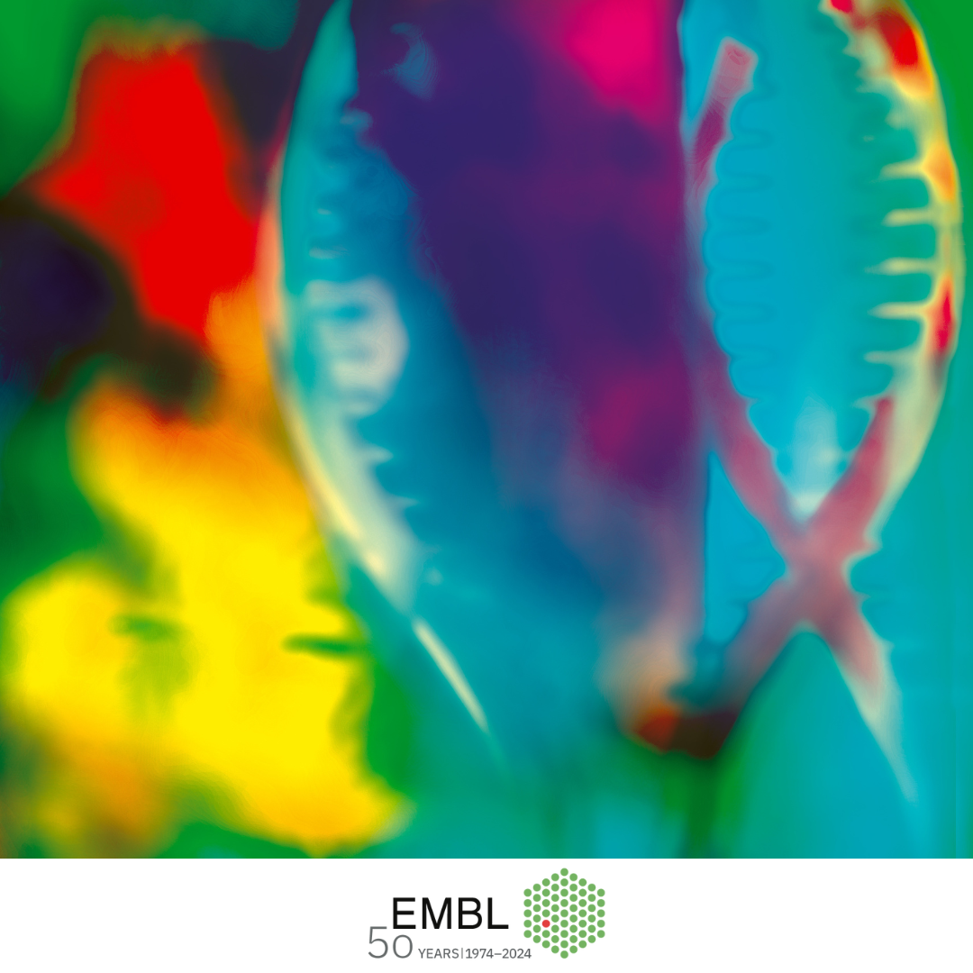 EMBL Conference Transcription and chromatin - FEBS