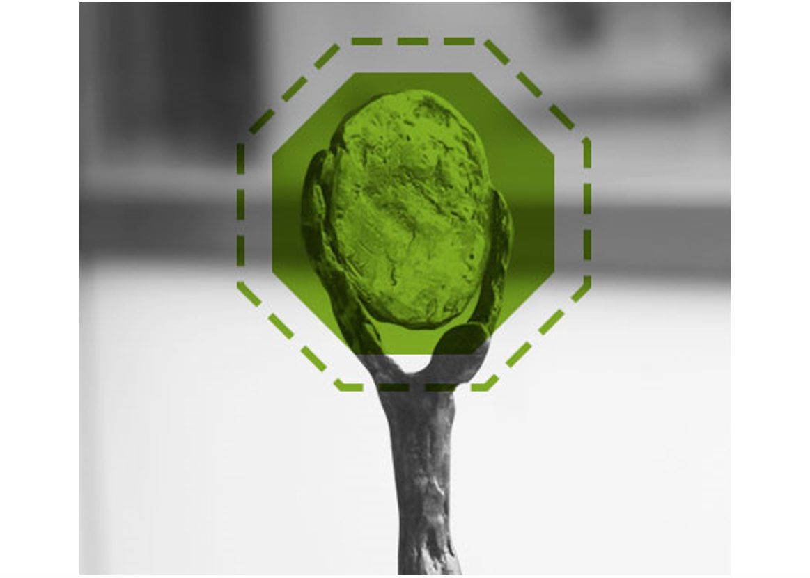 Febs federation of european biochemical societies
