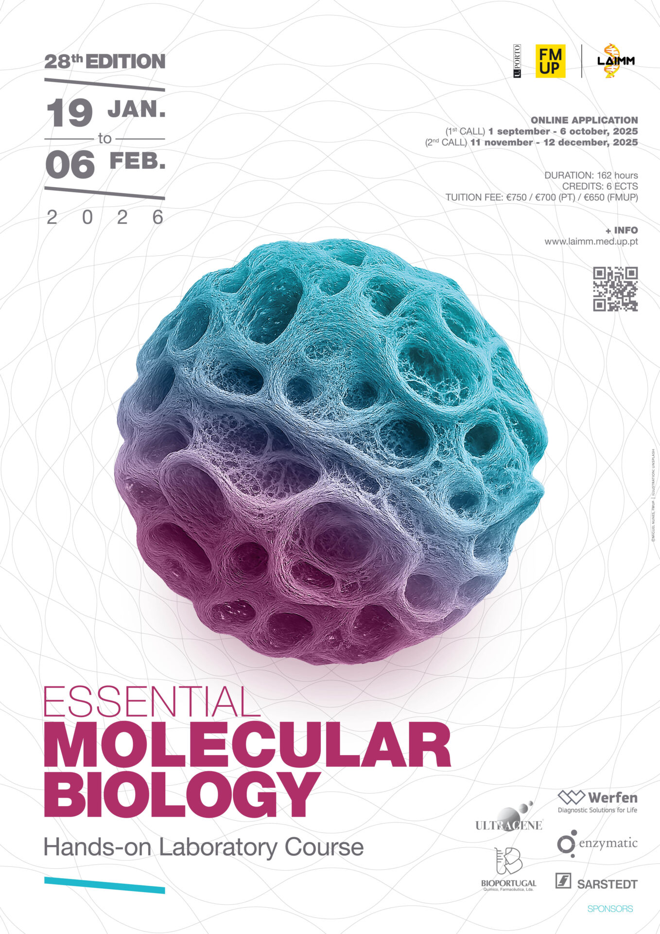 Essential Molecular Biology - Hands-On Laboratory Course - 28th edition ...